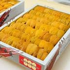 Best Hokkaido Uni in New York, NY